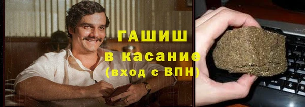 гидра Карпинск