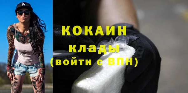 гидра Карпинск