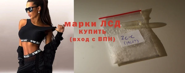гидра Карпинск