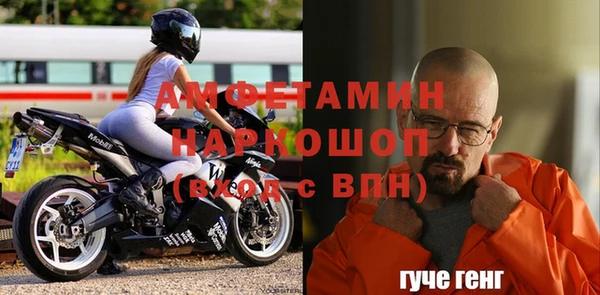 гидра Карпинск