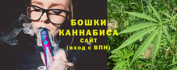 гидра Карпинск