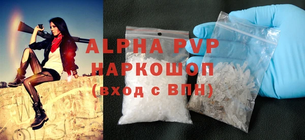 гидра Карпинск