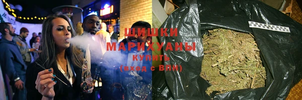 гидра Карпинск