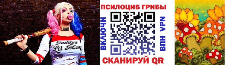Псилоцибиновые грибы MAGIC MUSHROOMS  Купить где  Полярные Зори 